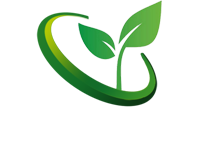 現(xiàn)化化農(nóng)業(yè)大棚建